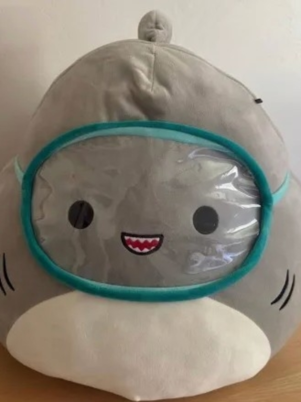 Squishmallow 'Gordon' Shark with Teal Trim NWT